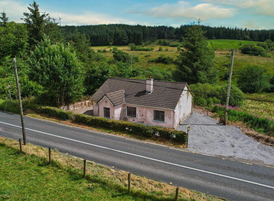 Brackary Beg, Manorhamilton, F91V026