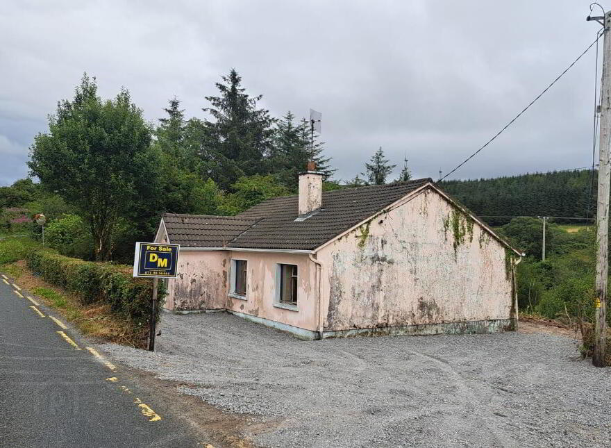 Brackary Beg, Manorhamilton, F91V026