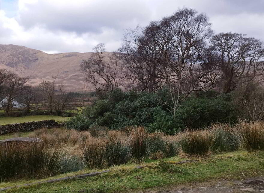 Glenanane, Mayo, H91E9X7