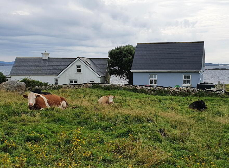 Turbot Island, Clifden, H71XD83
