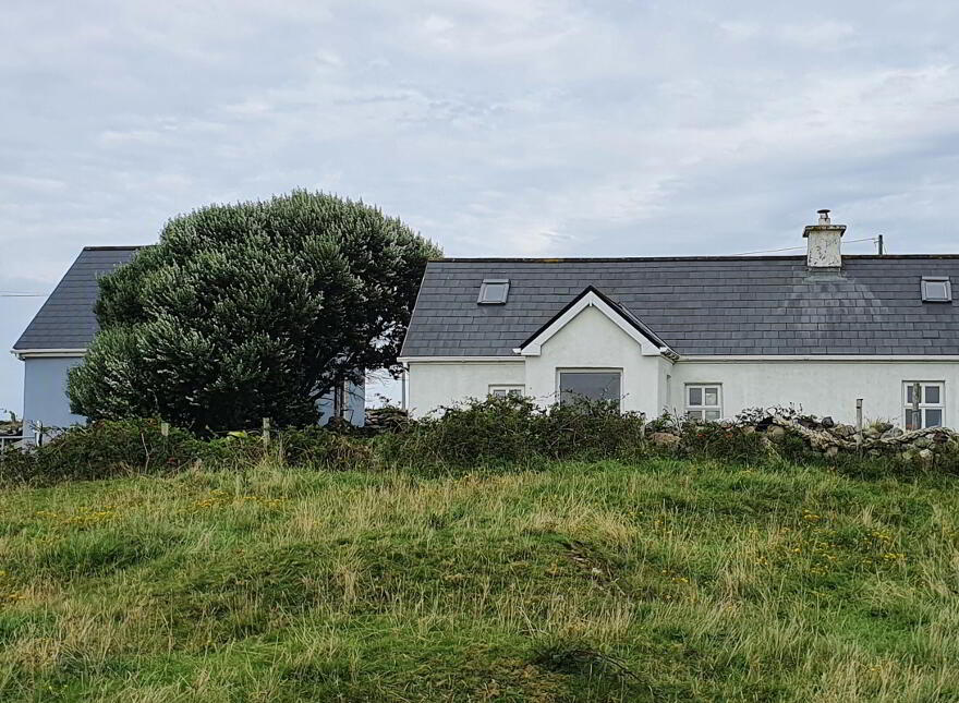 Turbot Island, Clifden, H71XD83