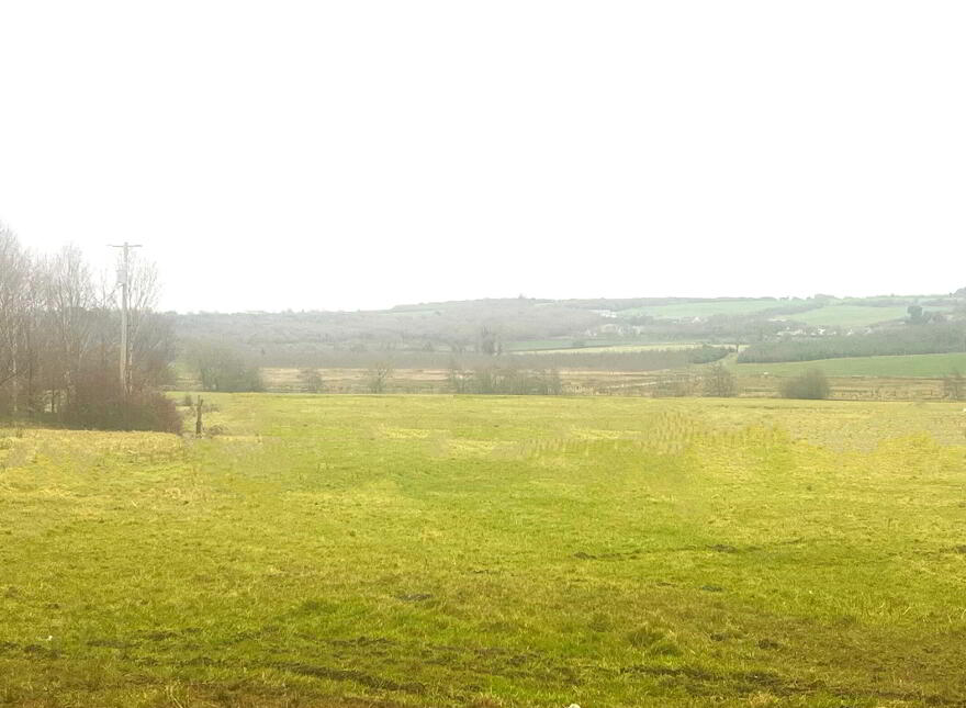 Killoy, Lecarrow