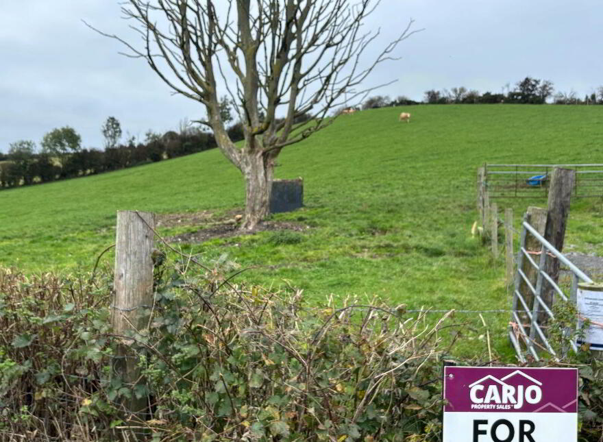 Drumlane, Loughmourne, Castleblayney, A75D260
