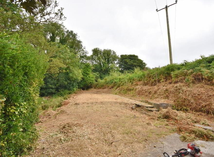 Ballygrennan, Listowel, V31AK74