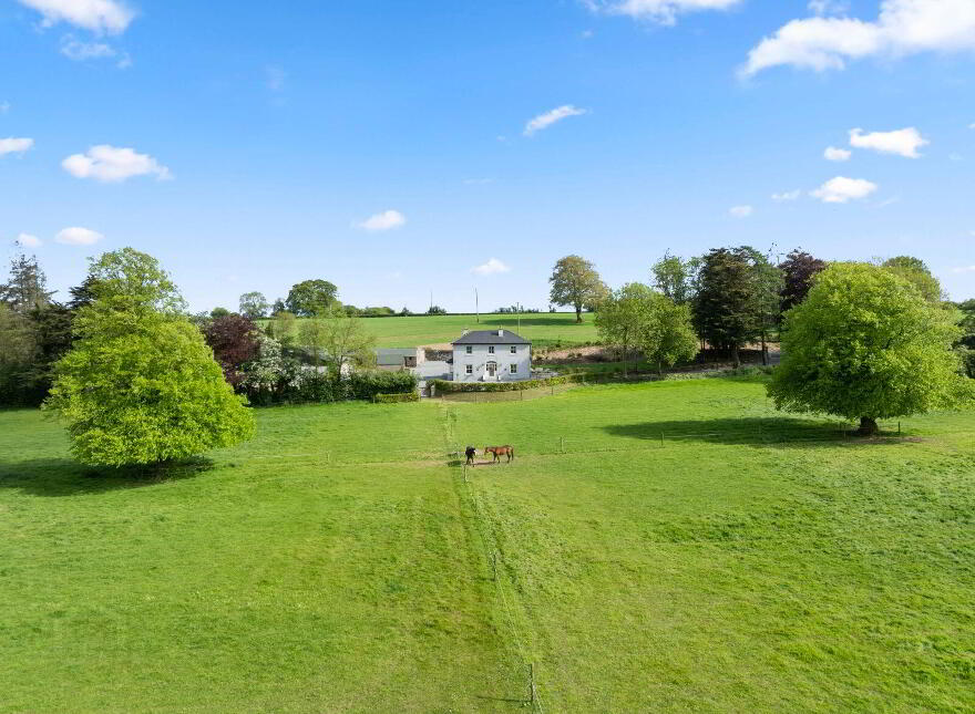 Kilcannon, Enniscorthy, Y21F9W2