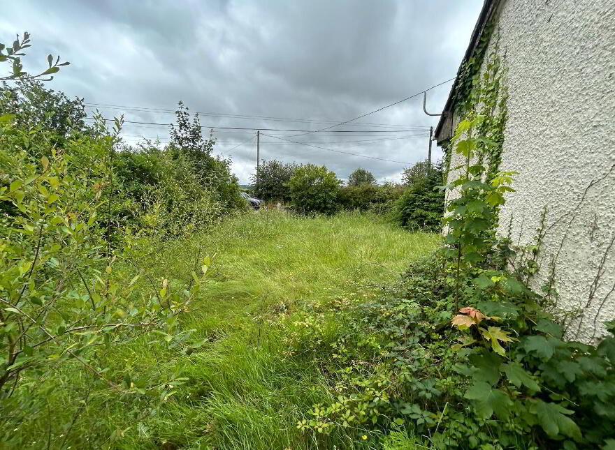 Coolalisheen, Kilworth, P61KR53