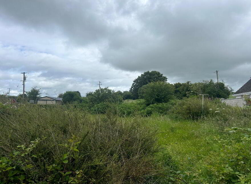 Coolalisheen, Kilworth, P61KR53