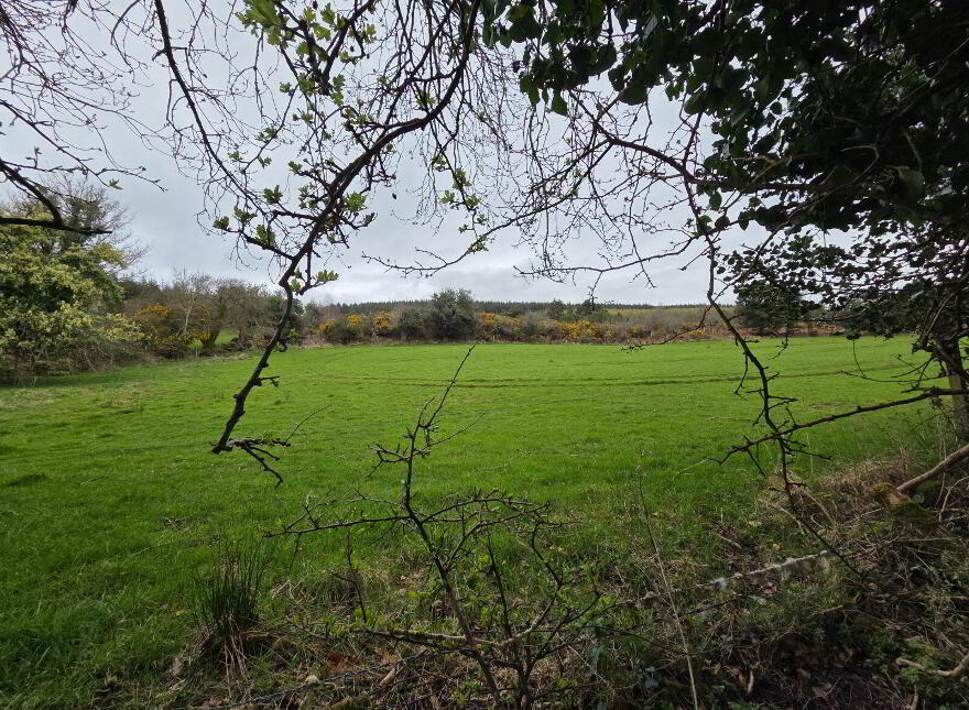 Tincurry, Cahir