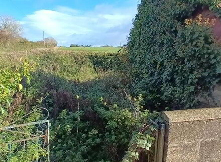 Journey's End, Ballyorley Upper, Ferns, Monamolin, Y21P271