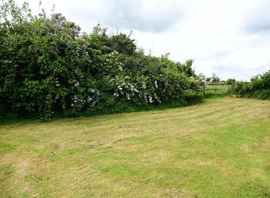 Augherskea, Drumree, Dunsany, A85A254