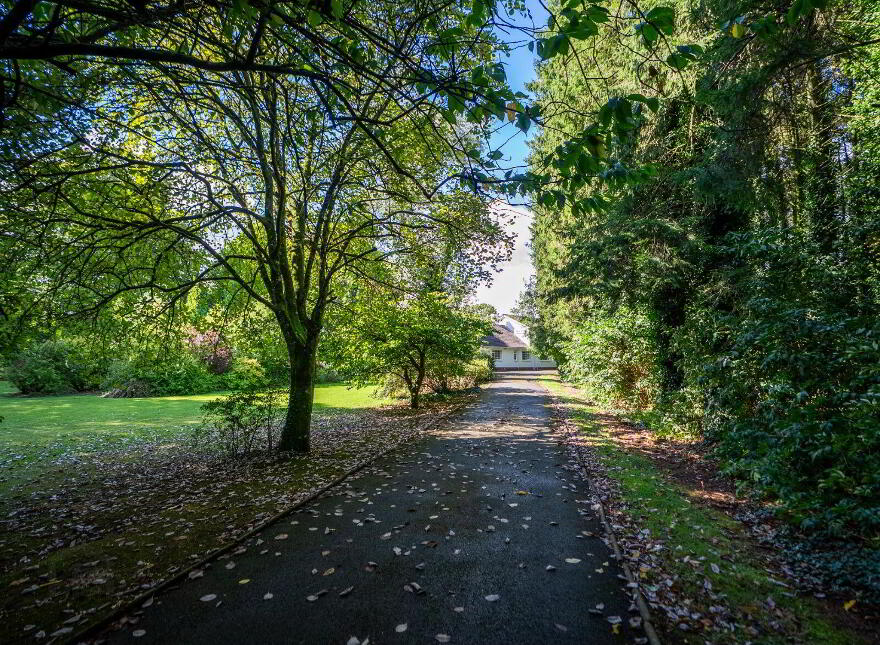 Erindale, Friarstown, The Curragh, R51TA48