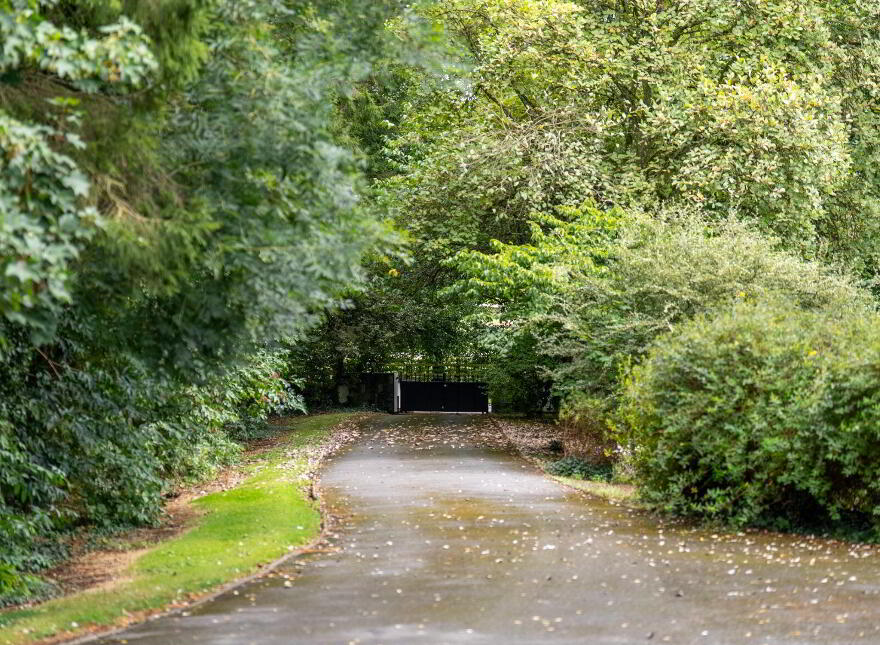 Erindale, Friarstown, The Curragh, R51TA48