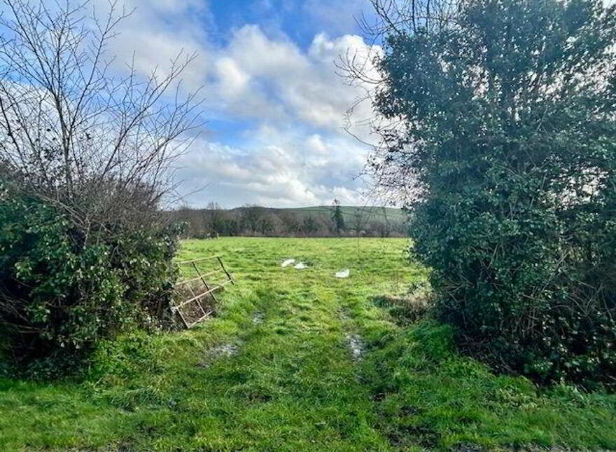 Ballydowel, Rathmoyle, Three Castles, R95WF99