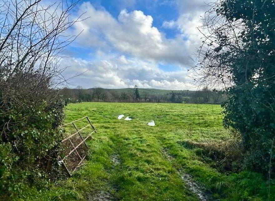 Ballydowel, Rathmoyle, Three Castles, R95WF99