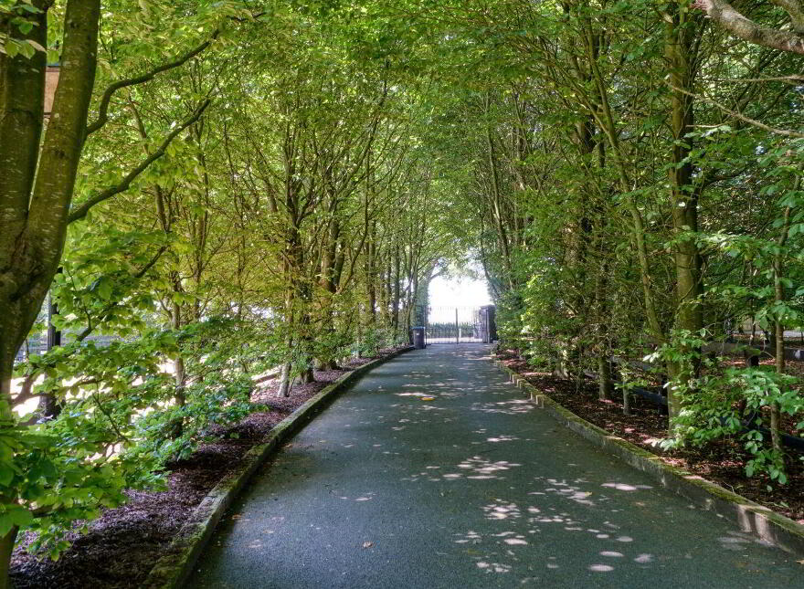 Slaney Lodge, Bough, Rathvilly, R93C799