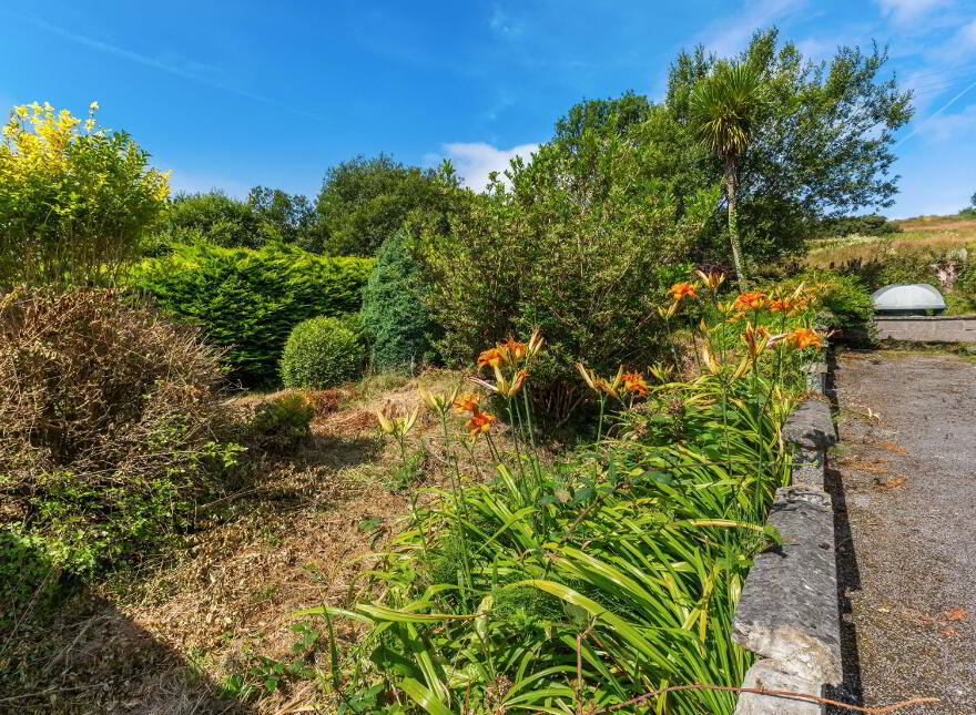 Carricknamoghil, Killybegs, F94D7T2