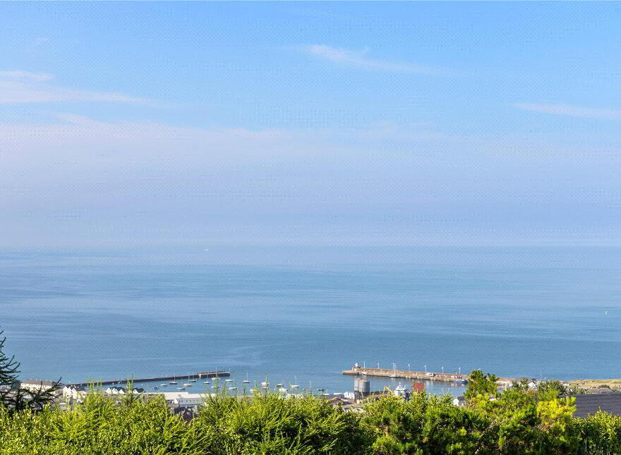 8 Ballyguilemore, Wicklow Town, A67D767