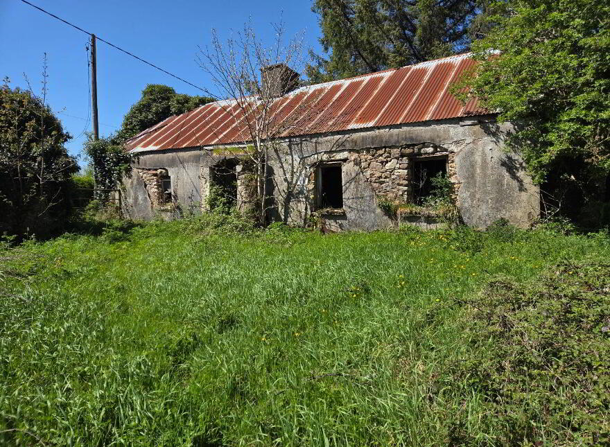 Clogheenafishoge, Ballylooby photo