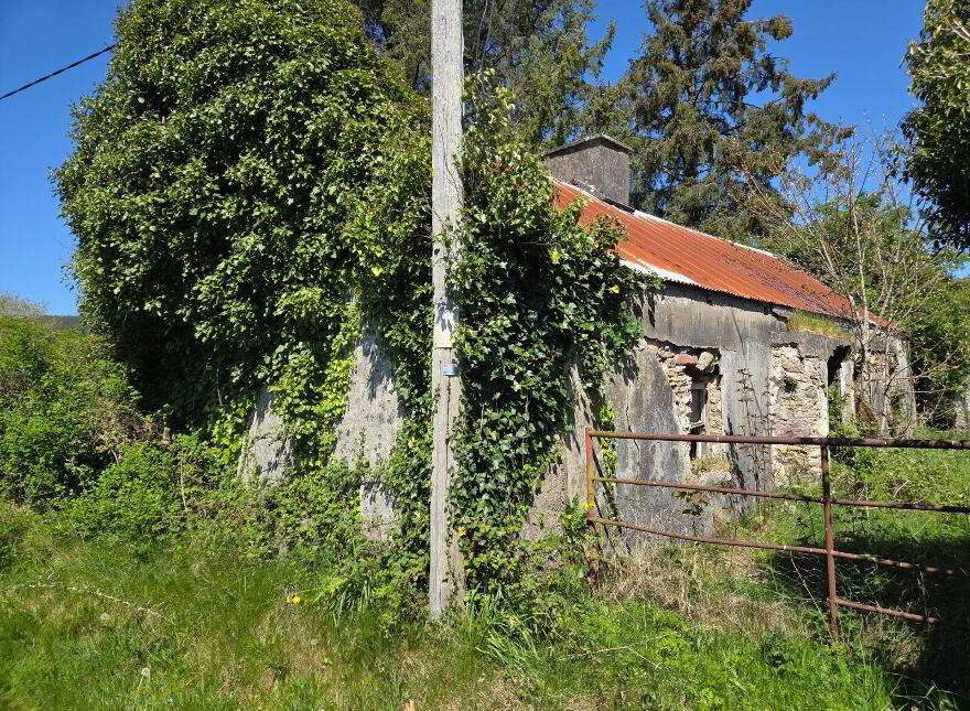 Clogheenafishoge, Ballylooby