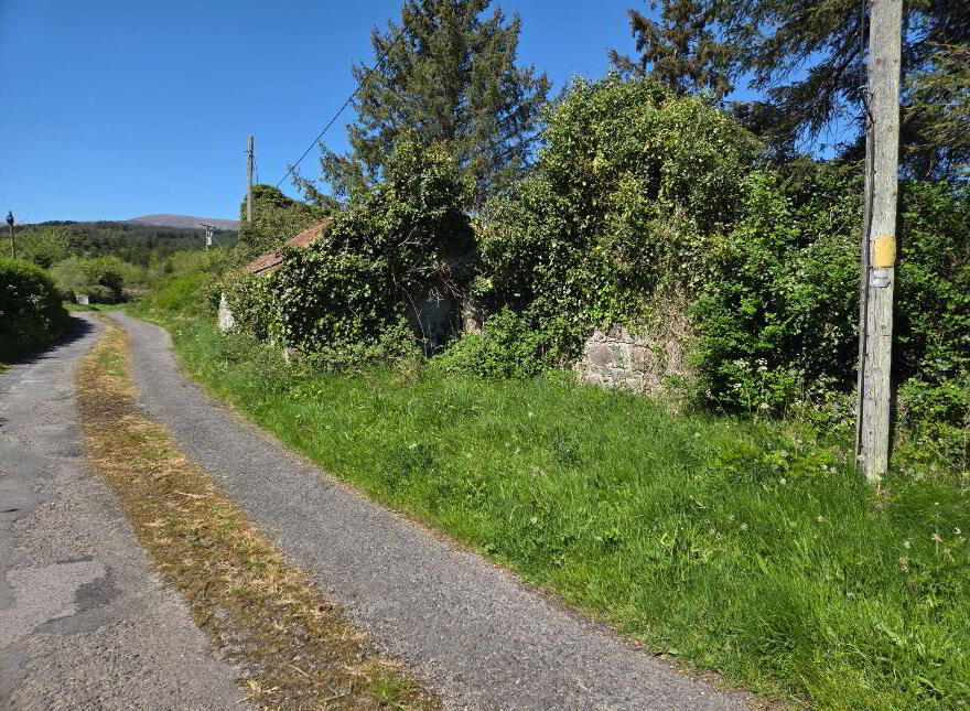 Clogheenafishoge, Ballylooby