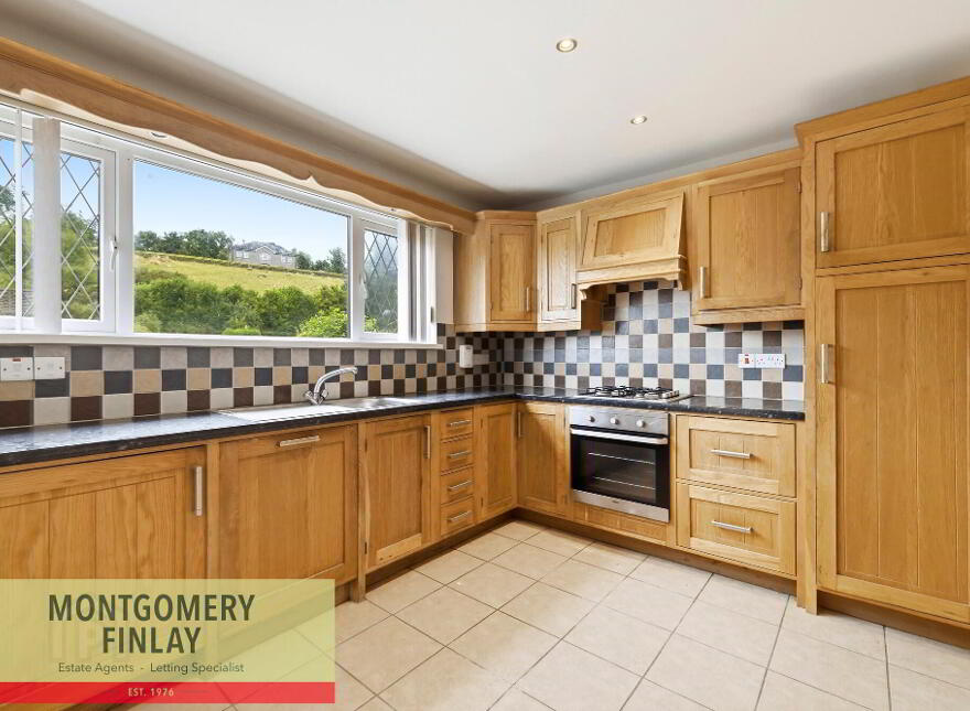 20 Fortview Park, Enniskillen, Lisbellaw, BT94 5DR