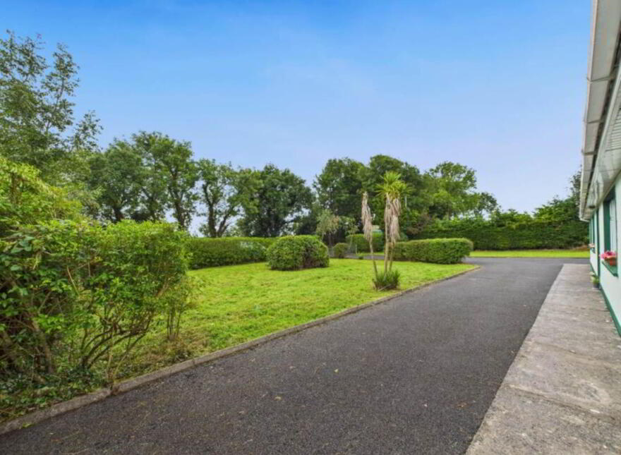 Tullaghan Rock, Ballaghaderreen, F45HT63
