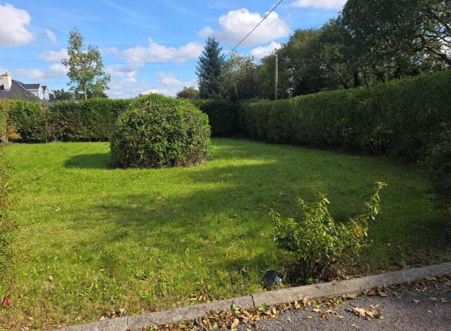 Tullaghan Rock, Ballaghaderreen, F45HT63