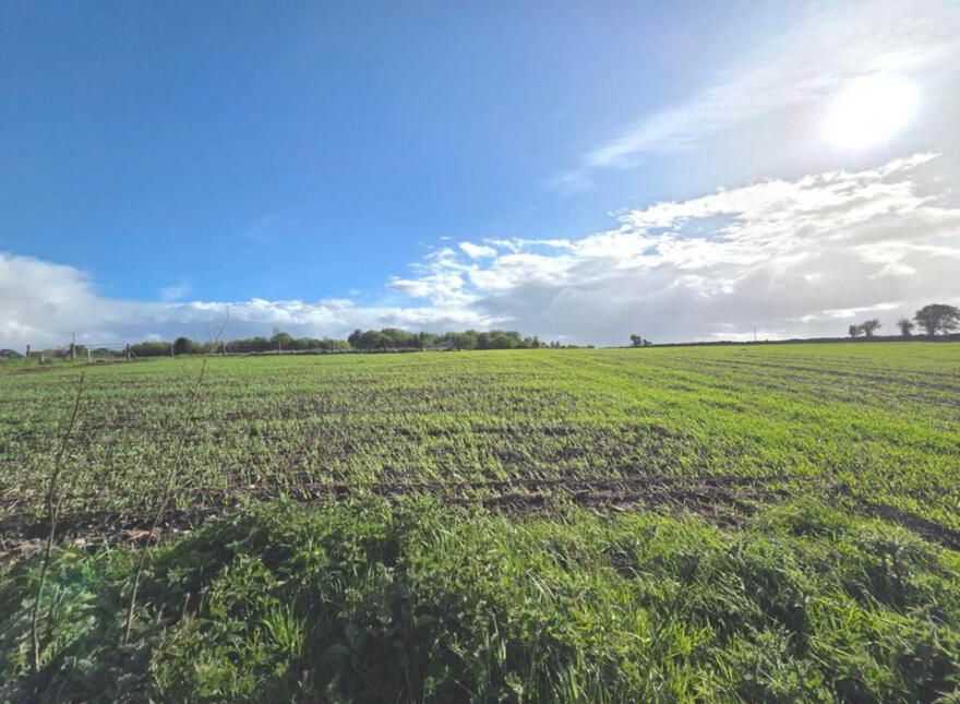 4 Bed Cottage & Farm Holding On, C. 24.12 Acres, Carrowntober, Kilkerrin, H53D998