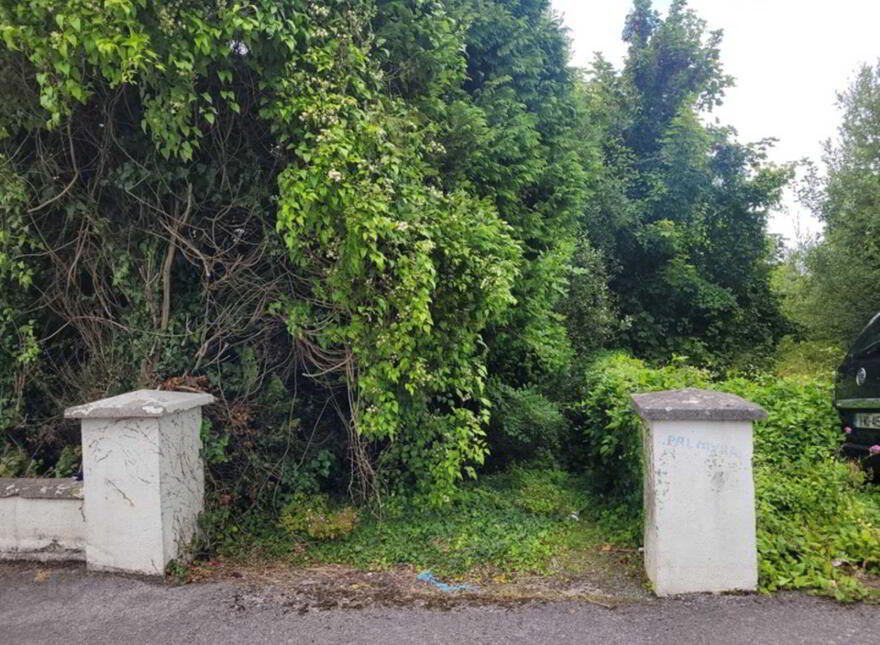 Knockroe, Castlerea, F45FW24