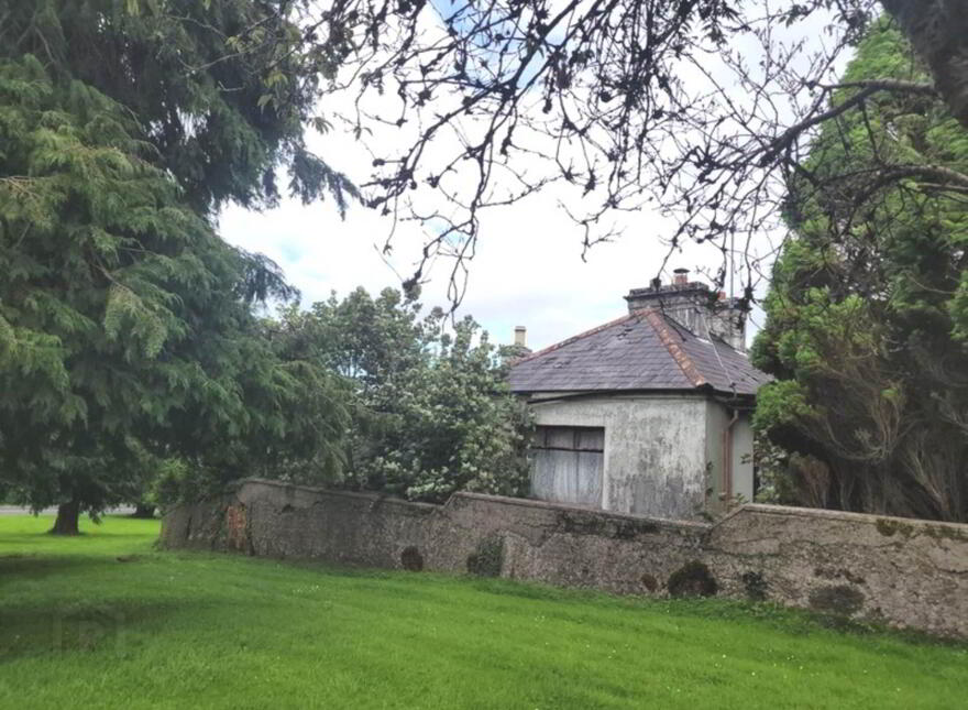 Knockroe, Castlerea, F45FW24