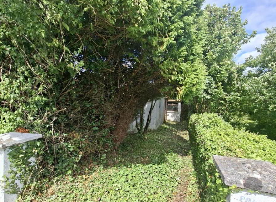 Knockroe, Castlerea, F45FW24