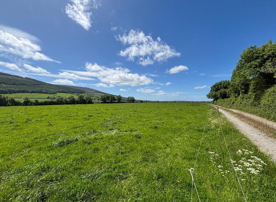 Rossane, Cloneen, Fethard, E91NN60