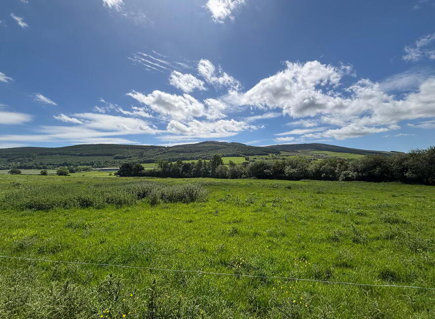 Rossane, Cloneen, Fethard, E91NN60