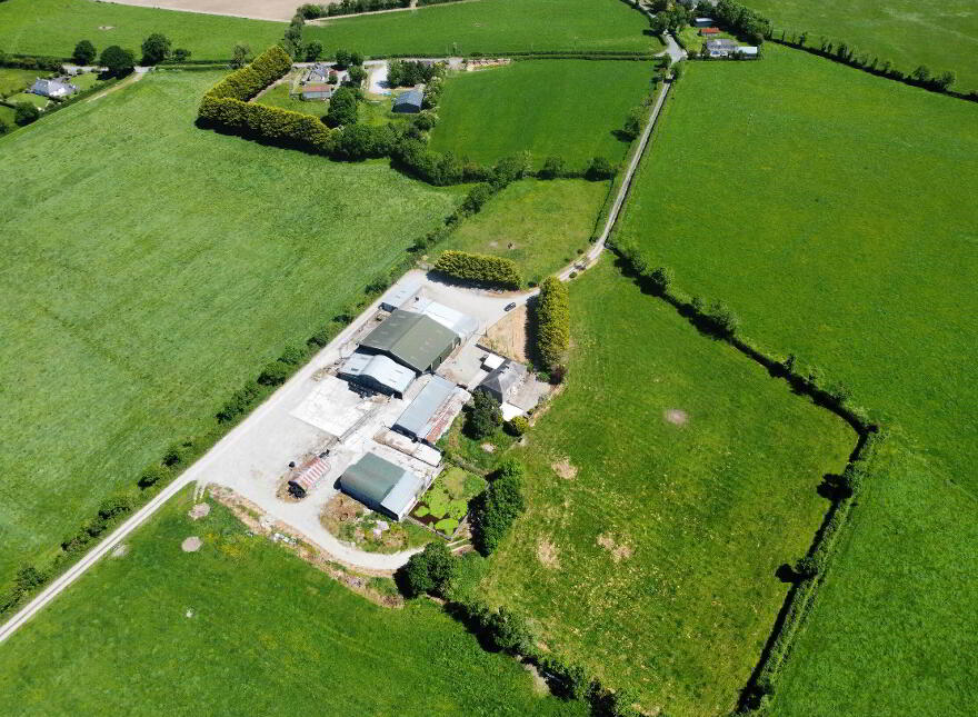 Rossane, Cloneen, Fethard, E91NN60