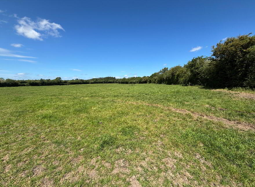 Rossane, Cloneen, Fethard, E91NN60