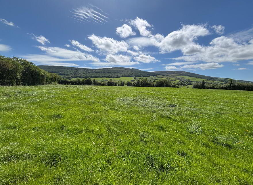 Rossane, Cloneen, Fethard, E91NN60