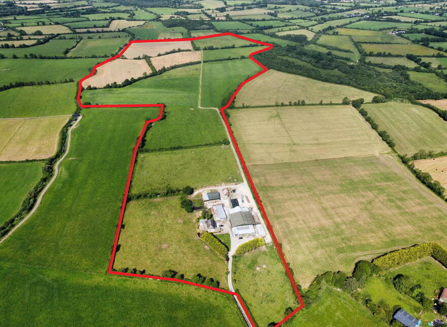 Rossane, Cloneen, Fethard, E91NN60