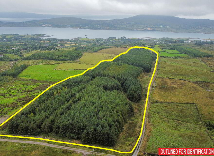 Rodeen, Castletownbere