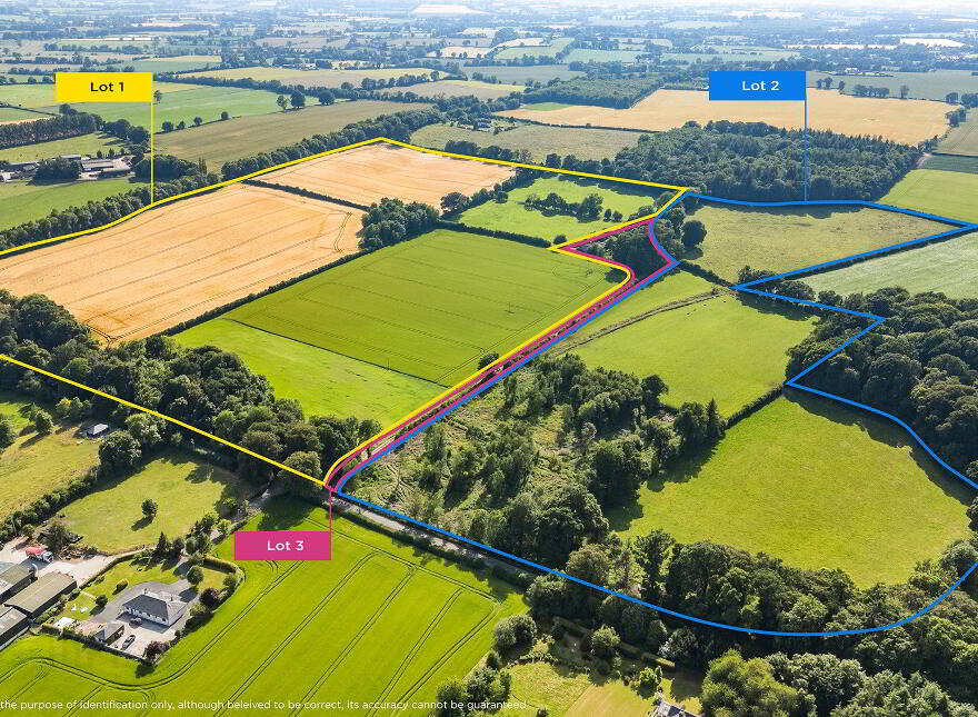 Whole: Lands & Cottage, Lisnavagh, Rathvilly, R93K162