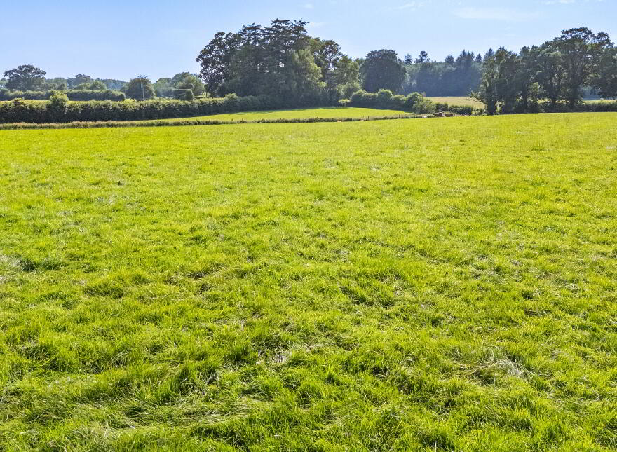 Whole: Lands & Cottage, Lisnavagh, Rathvilly, R93K162