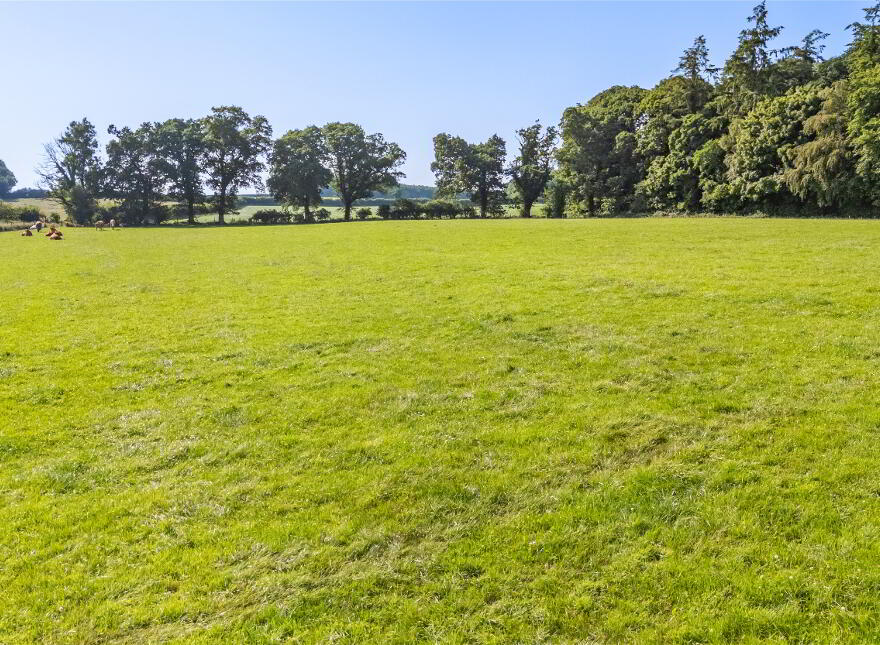 Whole: Lands & Cottage, Lisnavagh, Rathvilly, R93K162