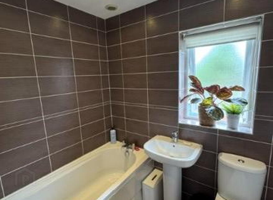 3 Rose Place, Islandmagee, BT40 3UE