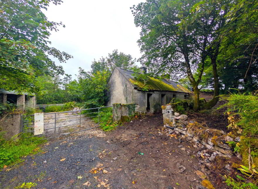Derelict Property, Killasser