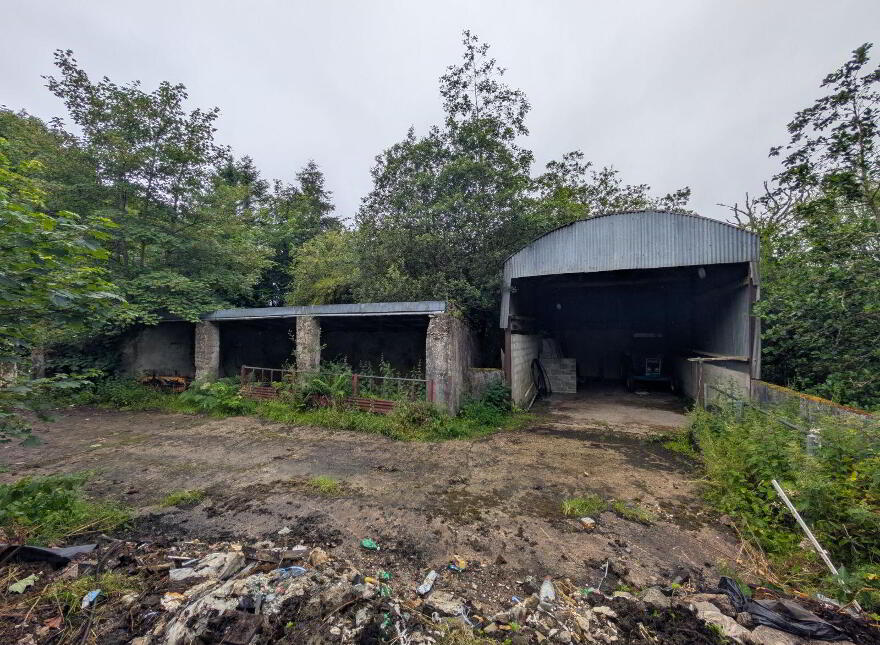 Derelict Property, Killasser
