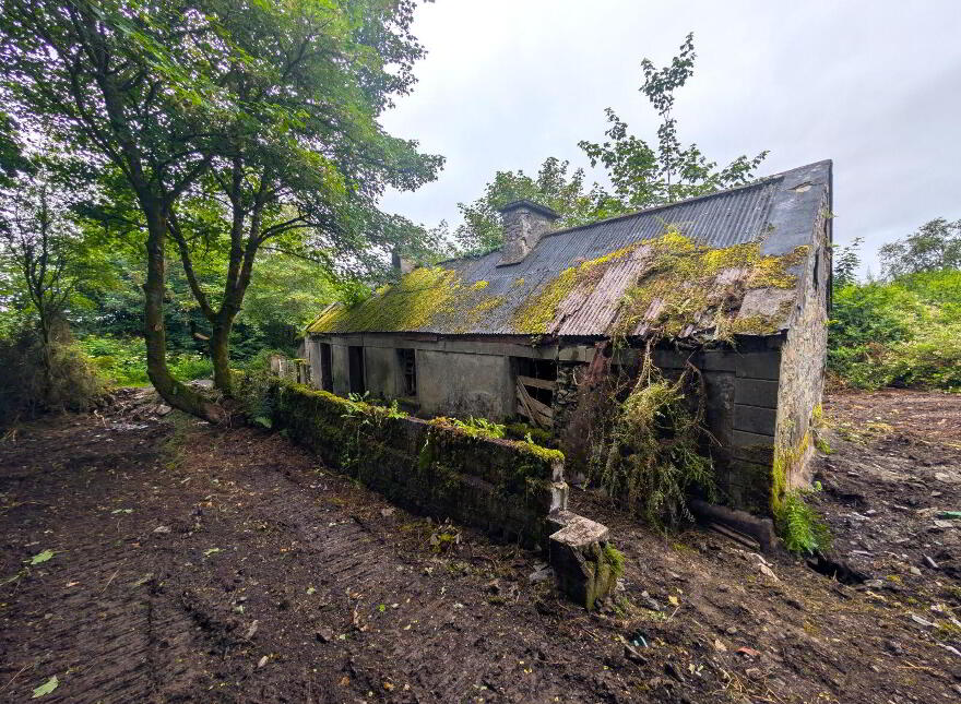 Derelict Property, Killasser