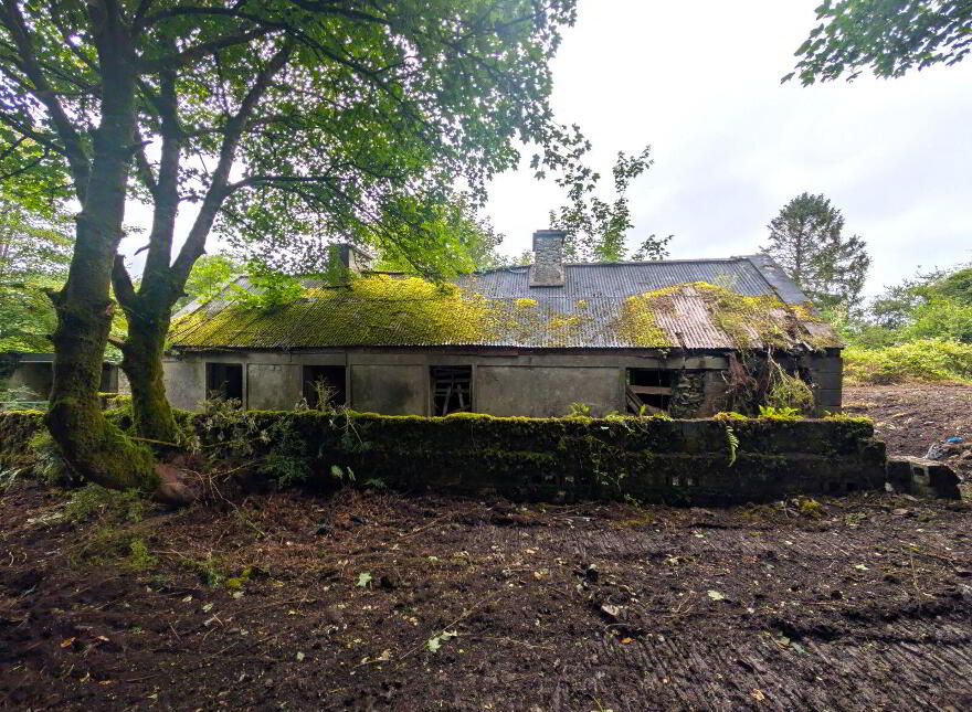Derelict Property, Killasser