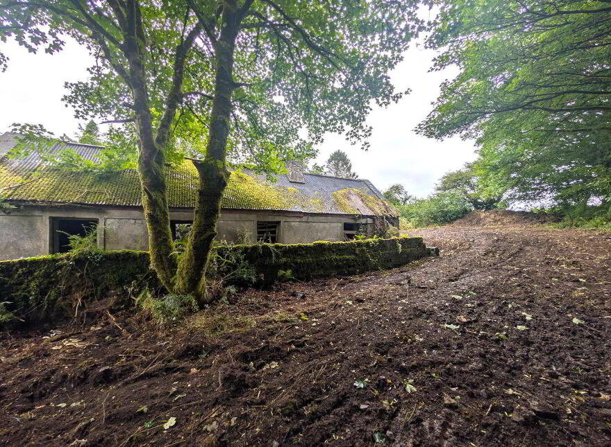 Derelict Property, Killasser