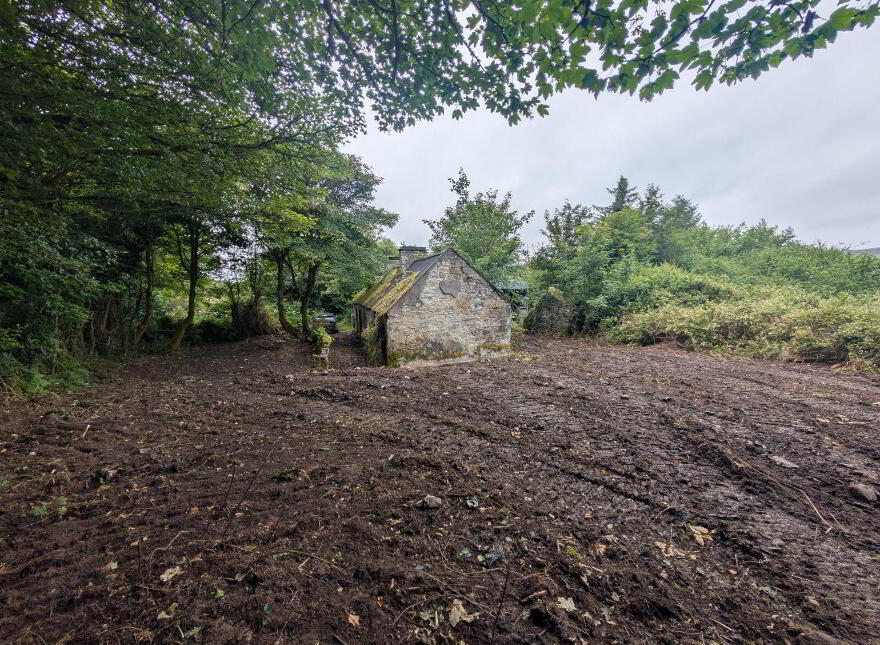 Derelict Property, Killasser
