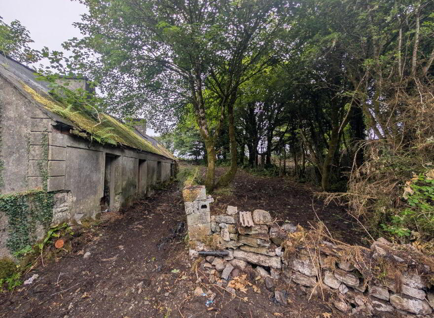 Derelict Property, Killasser