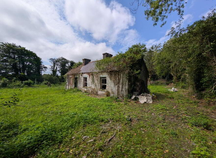 Derelict Cottage, Carroweena, Killasser